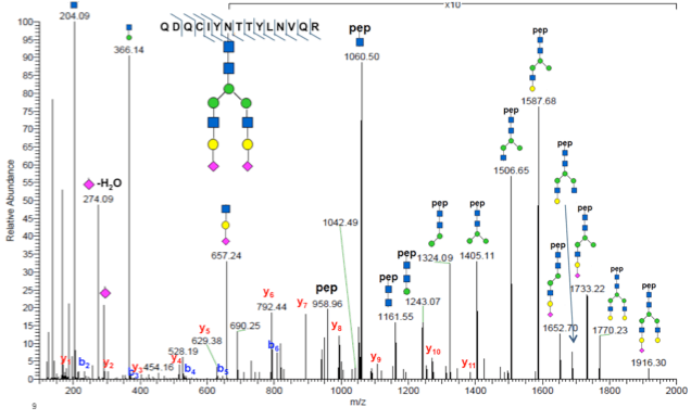 MS/MS spectrum of a glycopeptide identified using PTMScan Glycosylation profiling